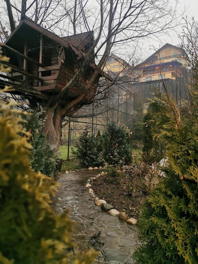 Doftana Apartaments Teşila Eksteriør bilde