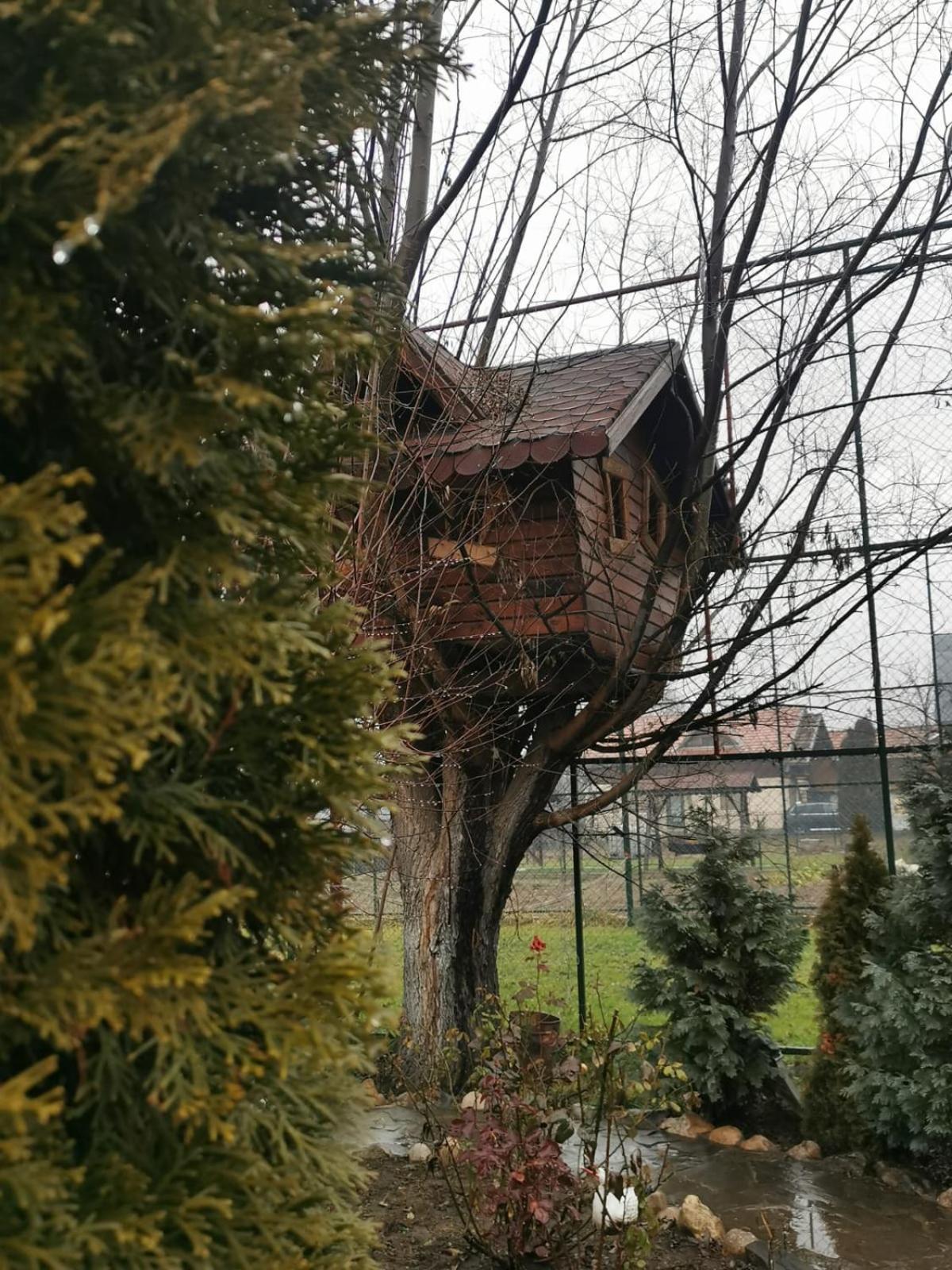 Doftana Apartaments Teşila Rom bilde
