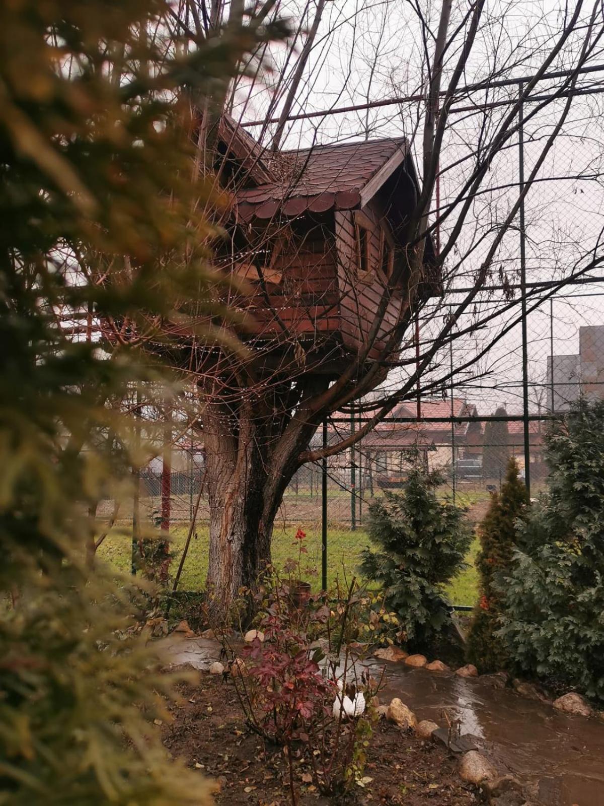 Doftana Apartaments Teşila Rom bilde