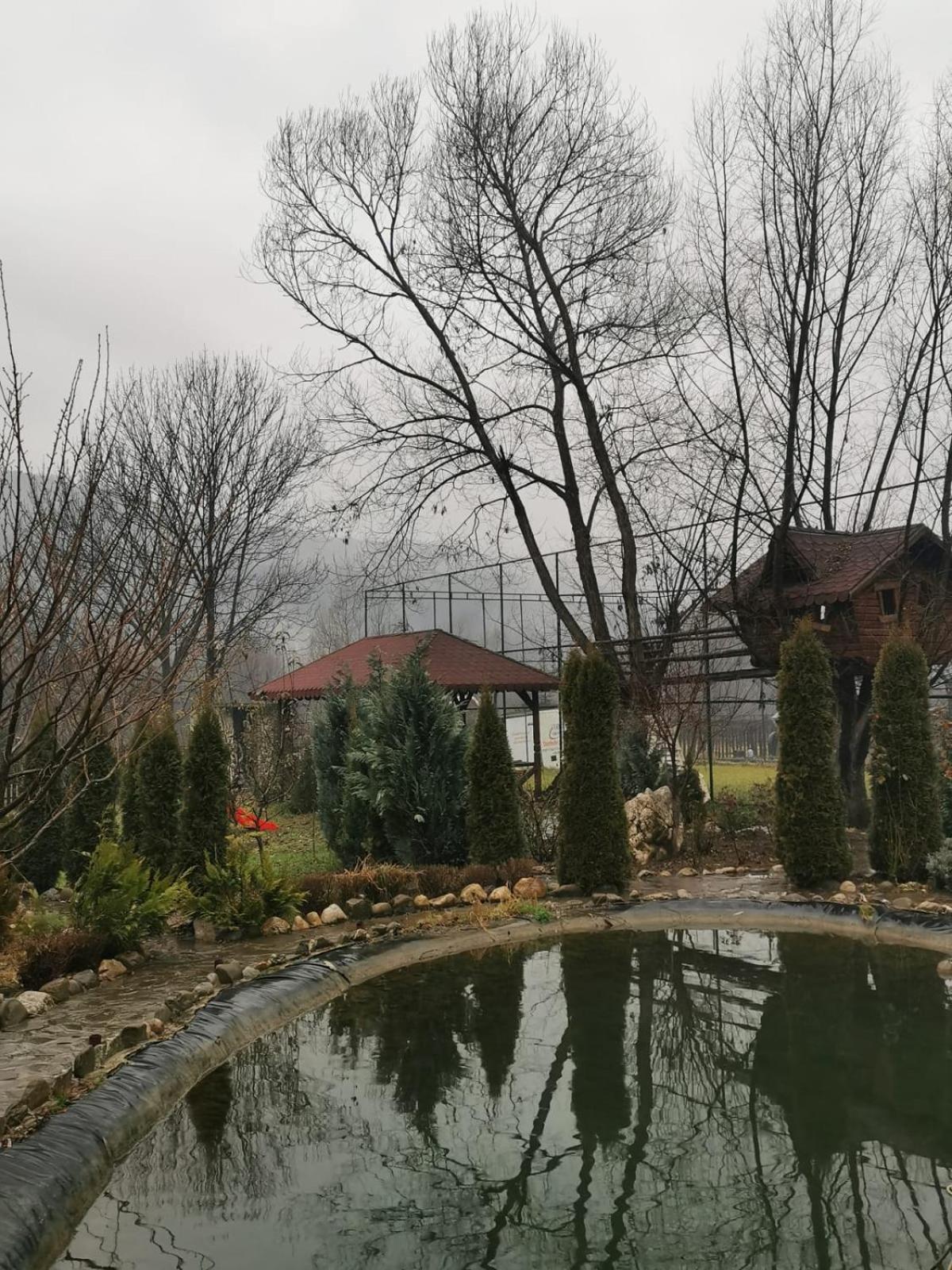 Doftana Apartaments Teşila Rom bilde